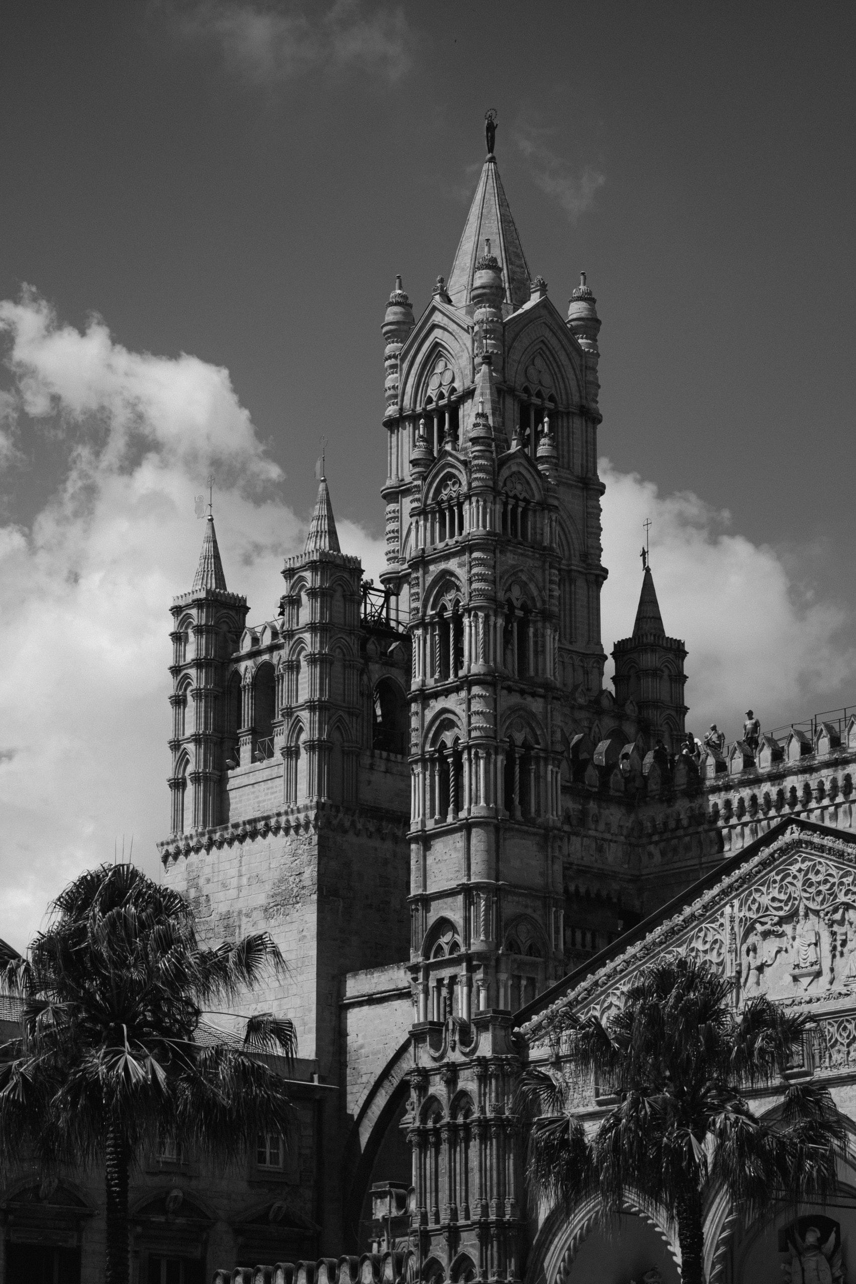 Il campanile e le guglie gotiche della Cattedrale di Palermo tra le palme, contro un cielo di nuvole