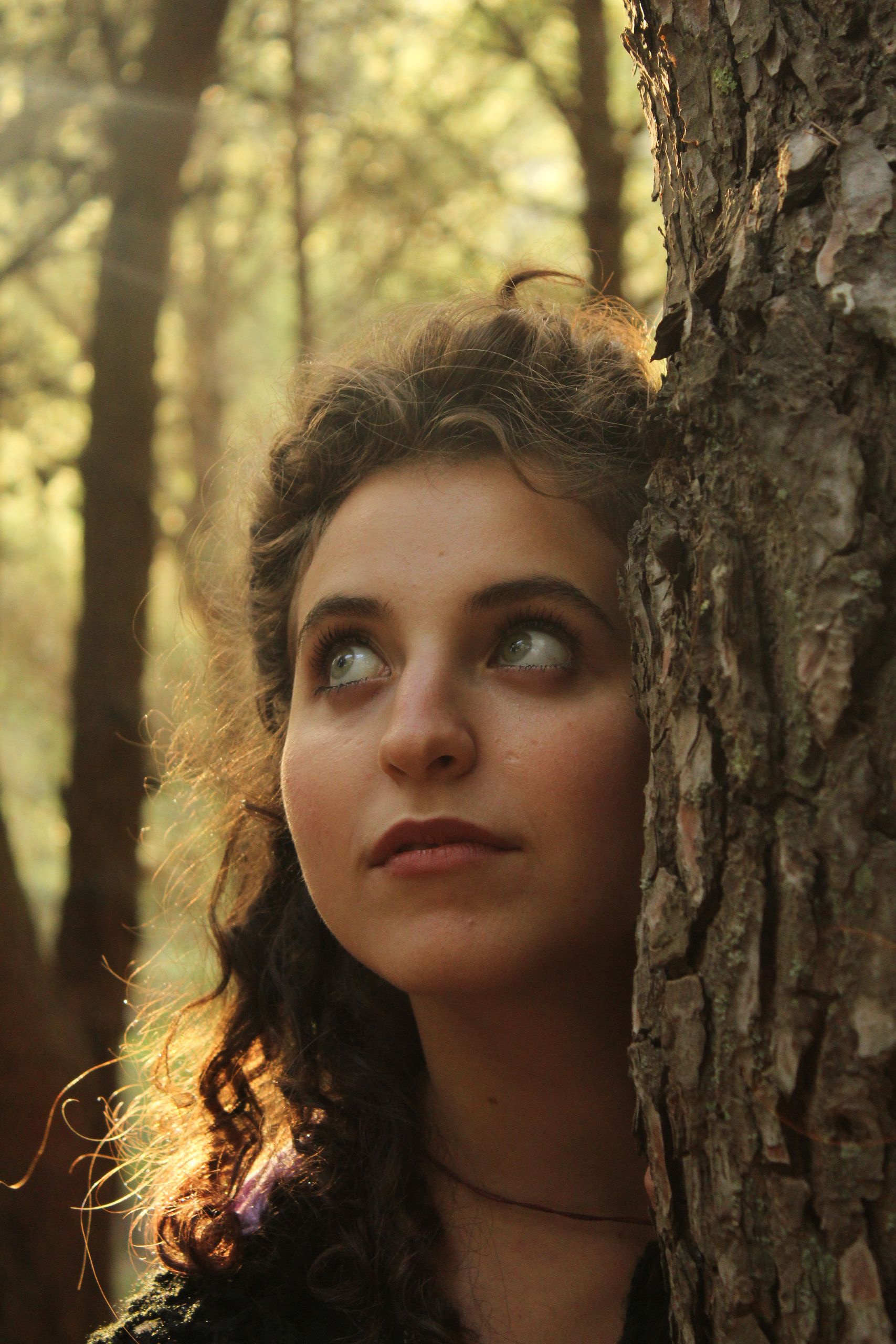 Una donna appoggiata a un tronco guarda in alto, con il sole alle spalle tra gli alberi